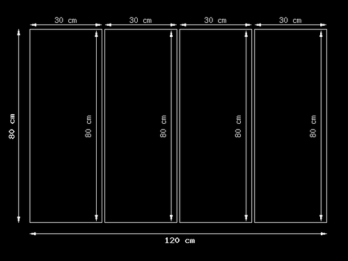Białe tulipany na Arena.pl