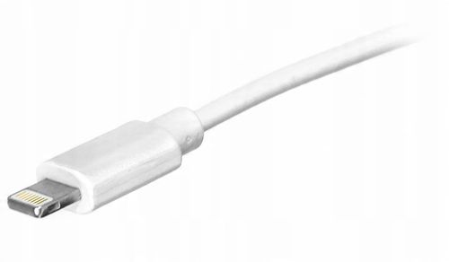 Ładowarka sieciowa 240V USB +iPhone Lightning 2.4A na Arena.pl
