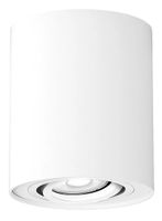 Lampa sufitowa natynkowa minimalistyczna do kuchni salonu GU10 IP20 biała