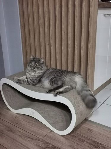 DRAPAK DLA KOTA KARTONOWY DUŻY LEGOWISKO 75x26x25 cm HomeCatty na Arena.pl