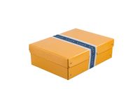 box mono a4/100mm żółty 2438