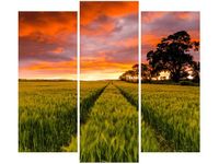 90 80CM OBRAZ T3 ELEM FAR FAR AWAY JONATHAN COMBE DRUK ŚCIENNY