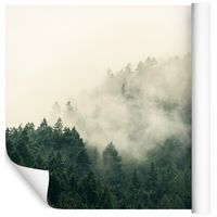 Fototapeta Las we Mgle NATURA Przyroda do Salonu 135x90
