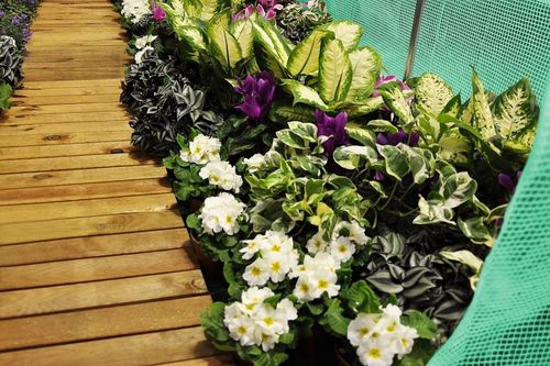 TUNEL FOLIOWY 2,5 X 4 M (10 M2) ZIELONY na Arena.pl