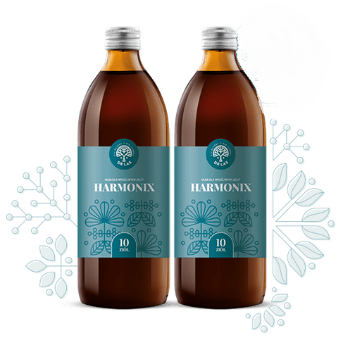 HARMONIX - 2 x butelka 500 ml na Arena.pl