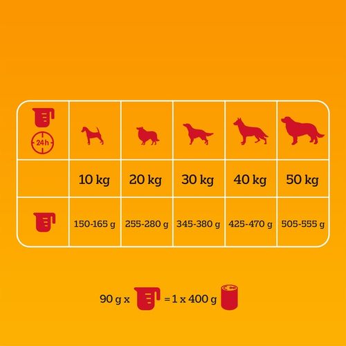 PEDIGREE sucha karma dla psa duże i średnie rasy wołowina 12 kg na Arena.pl