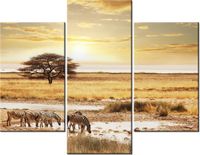 70 90CM OBRAZ 3 ELEM SAFARI ŚCIENNY PŁÓTNO