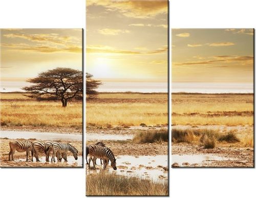 70 90CM OBRAZ 3 ELEM SAFARI ŚCIENNY PŁÓTNO na Arena.pl