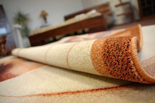 Dywan STANDARD MIMAS koniak na Arena.pl