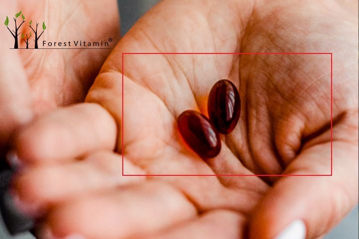 OLEJ Z KRYLA ANTARKTYCZNEGO KRILL MOCNY KRYL OMEGA 3 ASTAKSANTYNA zdjęcie 10