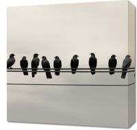Obraz 50x50cm Konferencja na Wysokościach