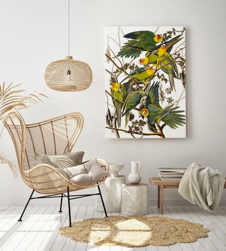Plakat cyfrowy do wydruku papugi na Arena.pl