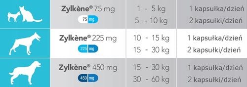 Vetoquinol Zylkene 75 mg 30 kapsułek stres, lęk na Arena.pl