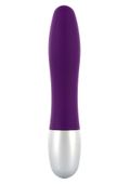Mini Wibrator Discretion Probe Purple