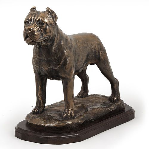 Cane Corso - figurka - 660 na Arena.pl