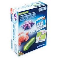 ND39_373843 -ZEST KREAT KRYSZTALY FLUO CLM 60584