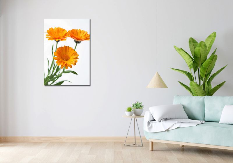 Obraz 60x90cm Słoneczne Kalendule zdjęcie 2