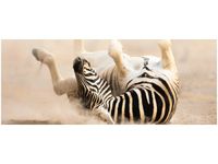 100X40CM ZEBRA OBRAZ DREWNO