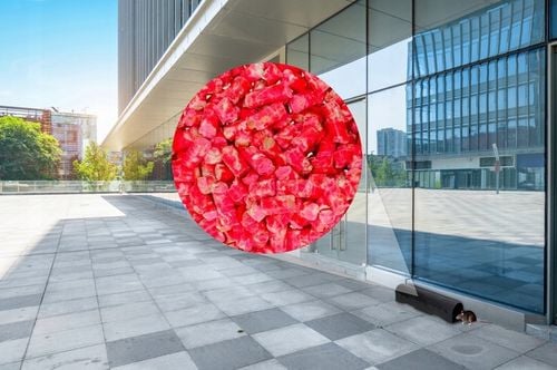 MOCNY PELLET TRUTKA ŚRODEK GRANULAT NA SZCZURY MYSZY GRYZONIE NO PEST na Arena.pl