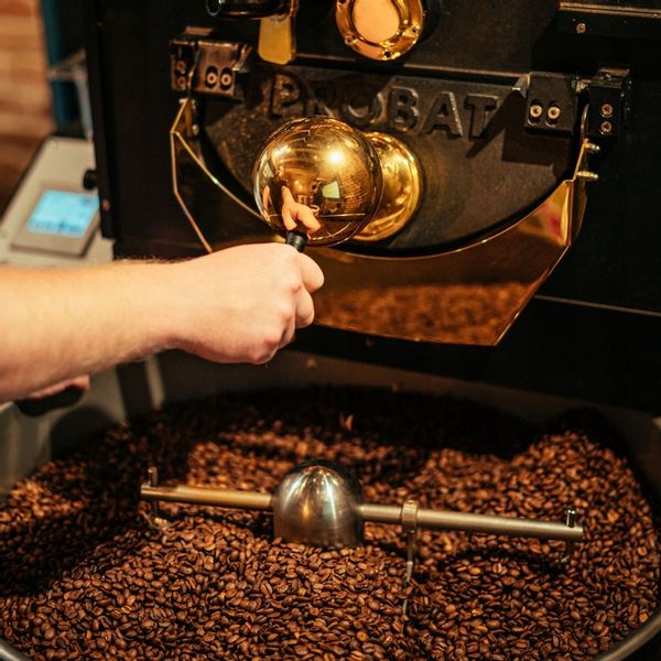 ŚWIEŻO PALONA kawa ziarnista ZESTAW 2x 250g KORONA zdjęcie 8