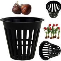 KOSZYK DO SADZENIA CEBULEK CEBUL OSŁONKA 5x5,5cm
