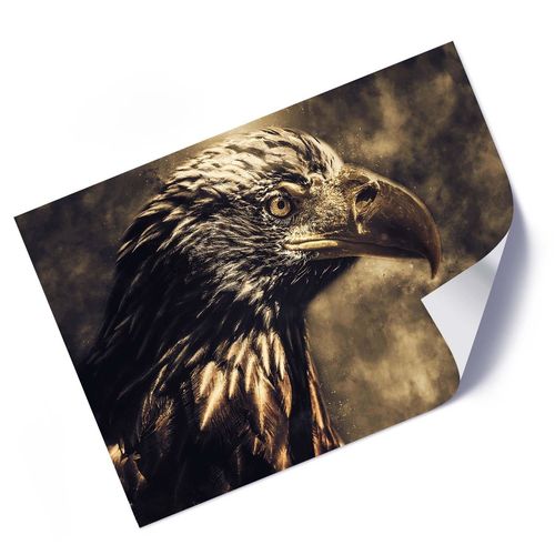 Plakat, Głowa orła 60x40 na Arena.pl