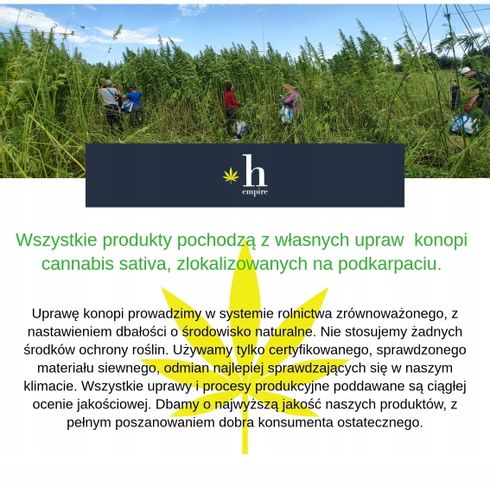 Hempire HERBATKA KONOPNA CYTRYNOWA  50g na Arena.pl