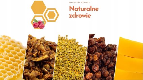 MIÓD SPADŹ IGLASTA 1.2 kg - DUŻY SŁÓJ na Arena.pl