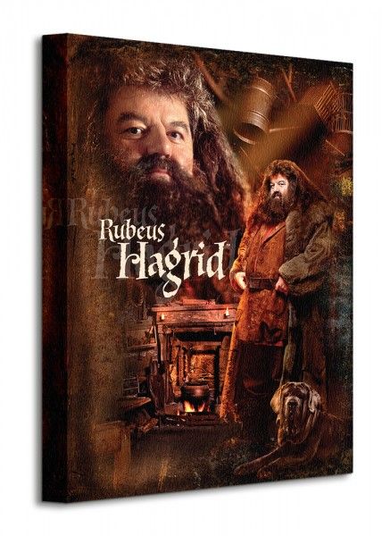 Harry Potter Hagrid - Obraz na płótnie 30x40 cm zdjęcie 1