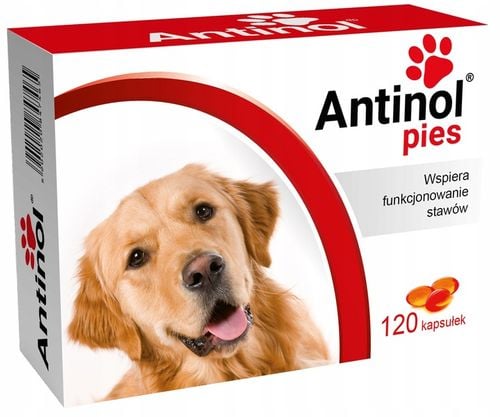 Antinol Sizarol 120 tab. + Przysmak na Arena.pl