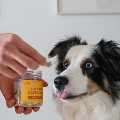 Liofilizowane mięso cielęce, wątróbka strusia, żołądki z kurczaka dla psa na Arena.pl