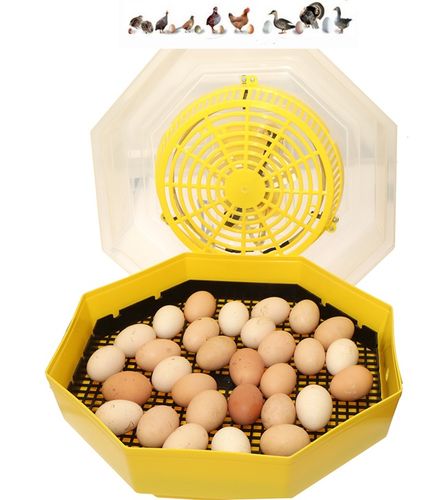 Inkubator wylęgarka na 60 jaj półautomat klujnik na Arena.pl