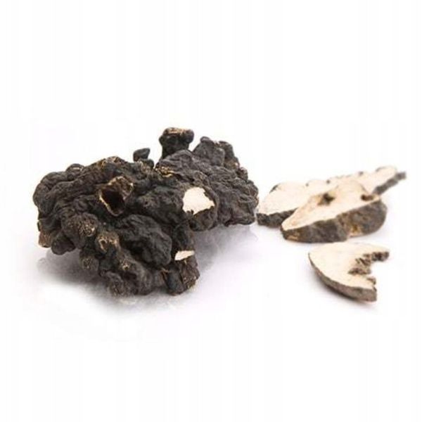 MycoMedica Polyporus żagiew wielogłowa 90 kaps. zdjęcie 2