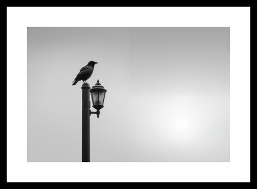 Plakat 30x20cm Samotny Postój Kruka na Arena.pl