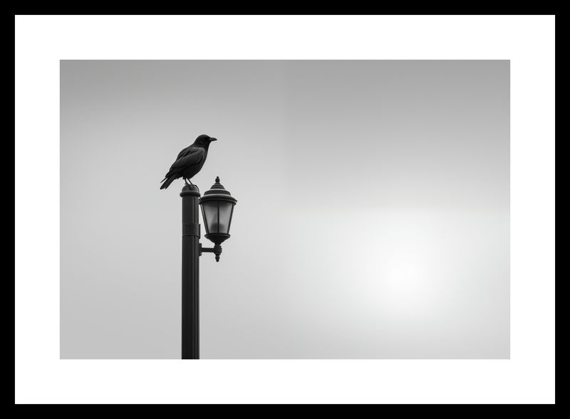 Plakat 30x20cm Samotny Postój Kruka zdjęcie 3