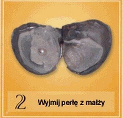 Perła szczęścia i miłości na Arena.pl