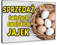 TABLICZKA REKLAMOWA szyld z dibondu nadruk 40x30 cm sprzedaż jajek