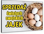 TABLICZKA REKLAMOWA szyld z dibondu nadruk 40x30 cm sprzedaż jajek