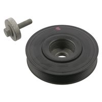 tarcza pasowa wału korbowego Renault Grand Scenic II 2005 2006 2007 2008