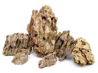 Dragon stone L (2-4 kg)