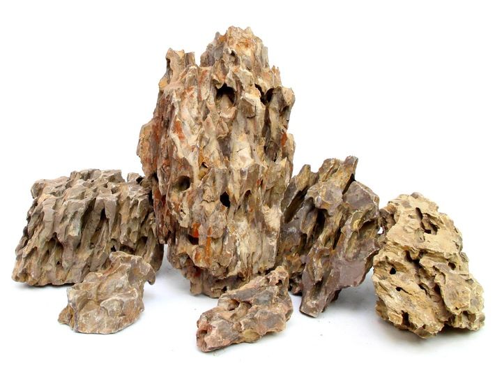 Dragon stone L (2-4 kg) zdjęcie 1