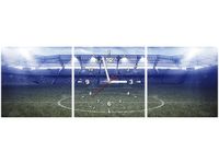 30 90CM OBRAZ 3 ELEM BOISKO ŚCIENNY PŁOTNO DRUK