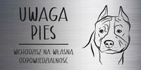 Tabliczka 20x10 cm UWAGA PIES Amerykański staffordshire terrier Z GRAWEREM