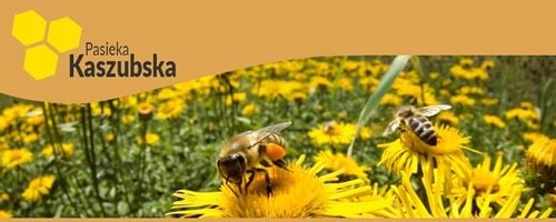 EKSTRAKT PROPOLISOWY PROPOLIS 20% 100ml na Arena.pl