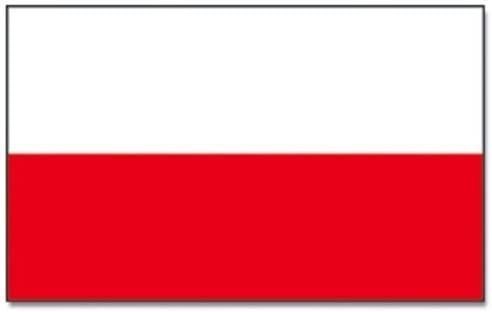 Drabina, podest, platforma robocza 91cm - do 150kg na Arena.pl