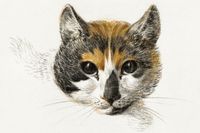 Plakat 91,5x61cm Kot Trikolor, Jean Bernard Vintage do Salonu