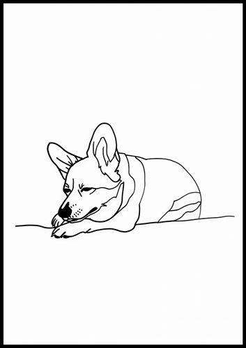 Plakat 70x100cm Śpiący Corgacz na Arena.pl