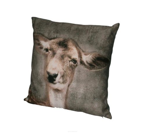 Poduszka LUCKY na Arena.pl