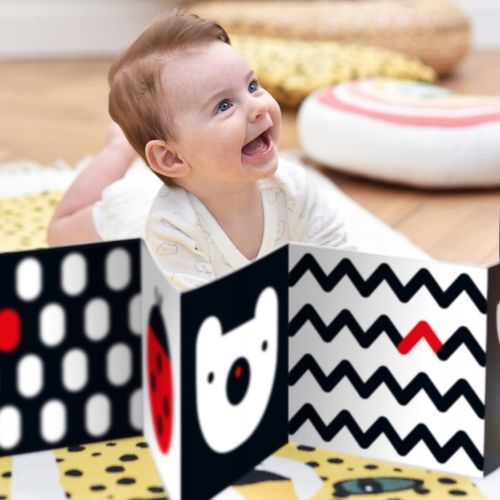 CzuCzu Starter malucha Co widzę 0-3-6 mies.+ na Arena.pl