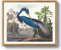 Obraz na płótnie w ramie Niebieska Czapla Vintage 40x60 cm do salonu